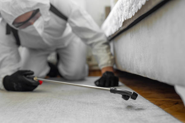 Professional Ant Control technician working in Orange Cove, CA